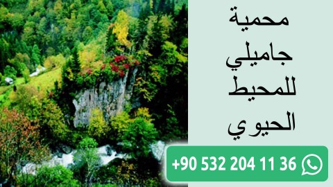 محمية جاميلي للمحيط الحيوي